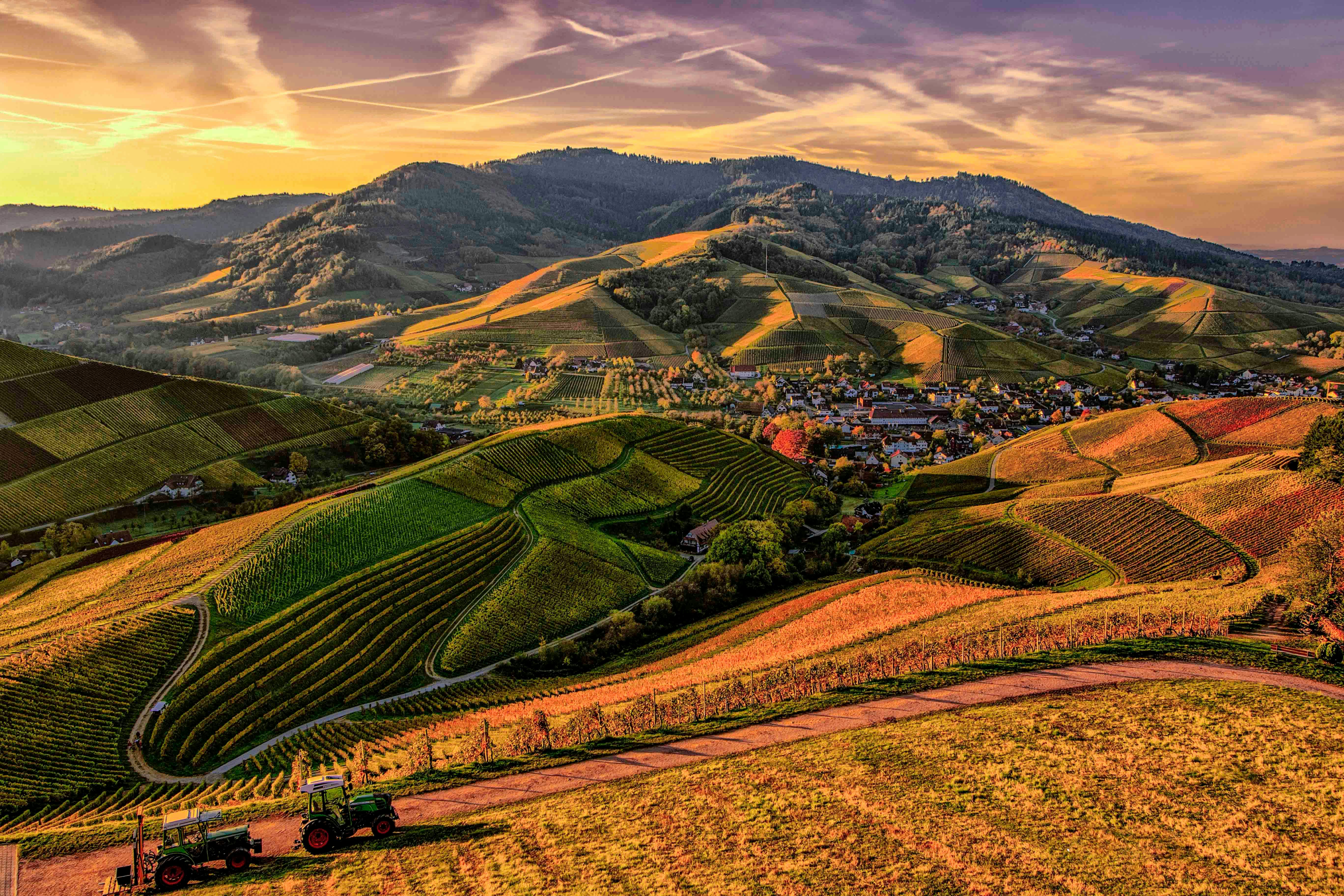 Panorama — obraz testowy
